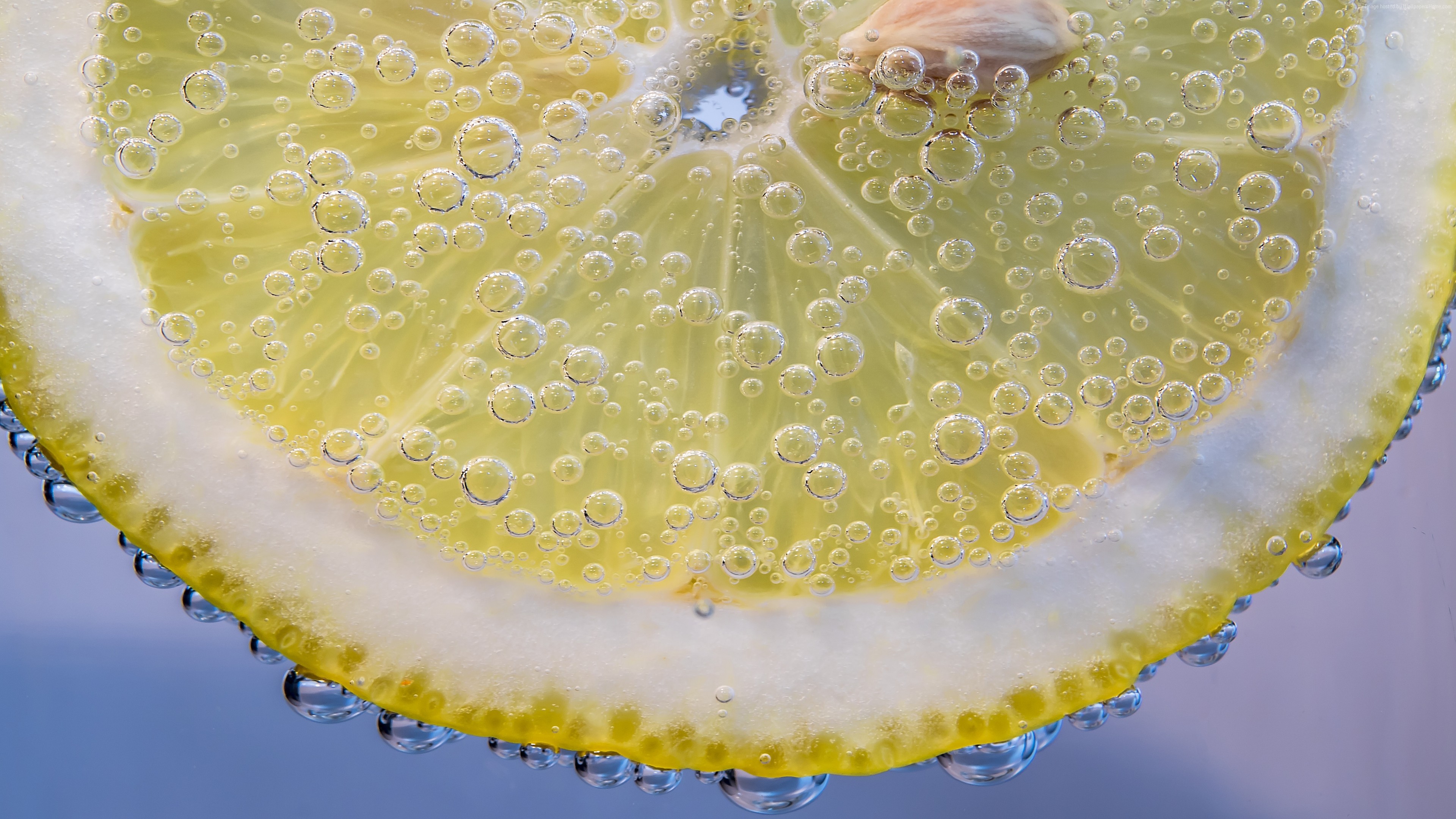 Stock Images lemon, under water, 5k, Stock Images
